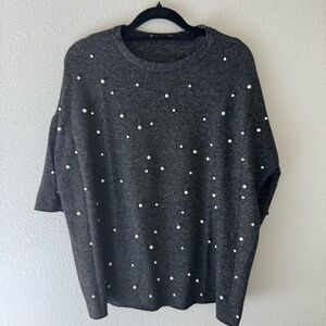 Zara Short Sleeve Sweater – Size S (runs big)